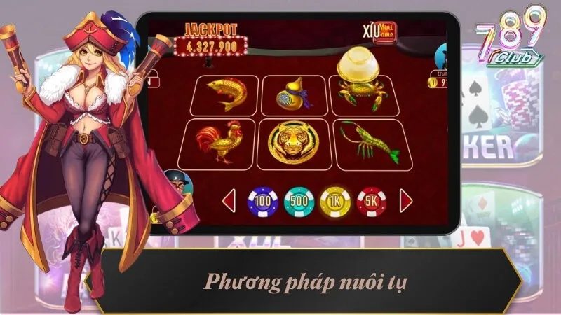 Phương pháp nuôi tụ theo kinh nghiệm chơi bầu cua